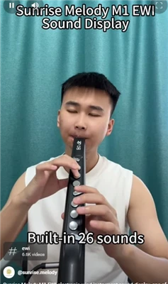 Instrument de suflat aerofon Viitorul muzicii Un drum către inovație condus d...