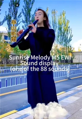 Instrumente de suflat Flaut Răsărit Melodie Muzica vine din viață