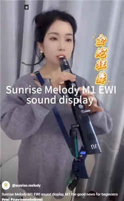 Instrument sintetizator de vânt Melodia răsăritului de soare Muzica vine din ...
