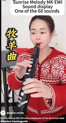 Saxofon Instrument de suflat Melodia răsăritului de soare Muzica vine din viață
