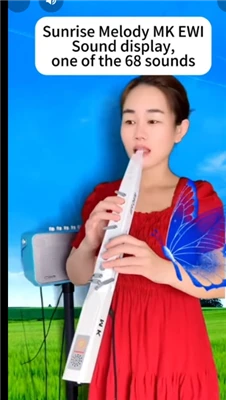 Instrument de suflat digital Sunrise Melody Muzica vine din viață