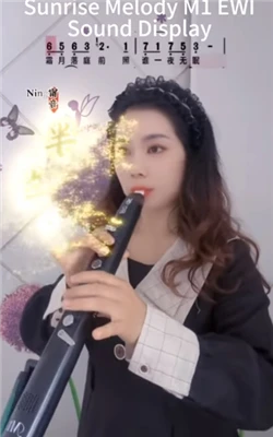 Aerophone Brass Instruments Melodia răsăritului de soare Muzica vine din viață