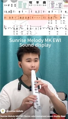 Flaut electric Muzică Melodia răsăritului Muzica vine din viață