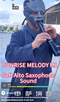 Instrument de suflat sintetizator Focus pe instrumente Sunrise Melody