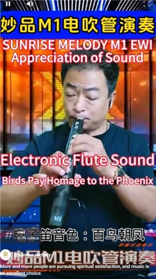 Sax Sintetizator Focus On Instruments Sunrise Melody