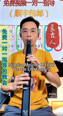 Sunrise Melody M3 Aerophone Instrument de suflat digital Muzica face parte di...