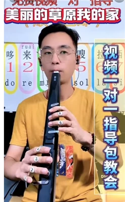 Sunrise Melody M3 Aerophone Instrument muzical Muzica face parte din viață
