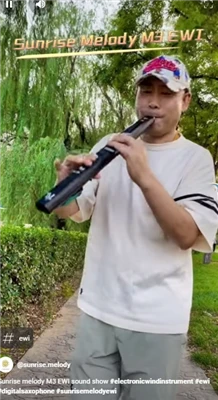 Sunrise Melody M3 Instrument electric pentru clarinet Muzica face parte din v...